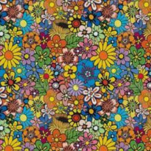 Meet your Posher, Nevaeh